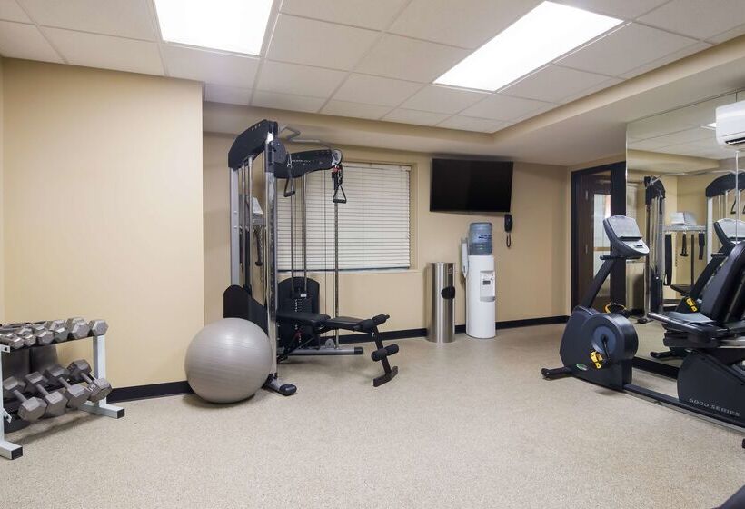 هتل Best Western Plus Traverse City