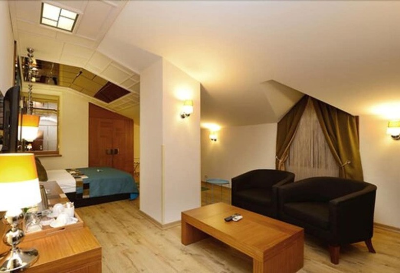 Fotos del hotel Collage Pera:  4