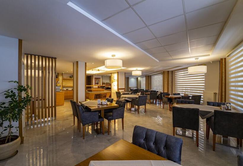 Fotos del hotel Levent Hotel Istanbul:  30