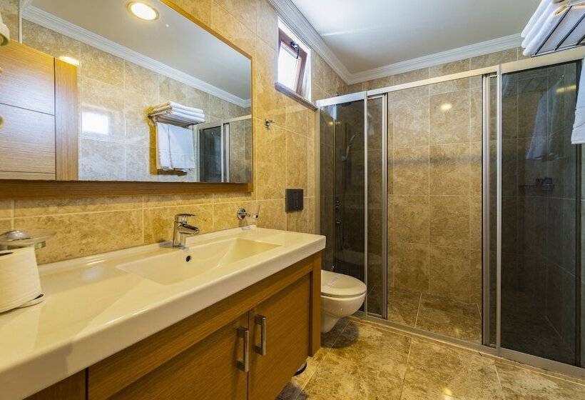 Fotos del hotel Levent Hotel Istanbul:  24