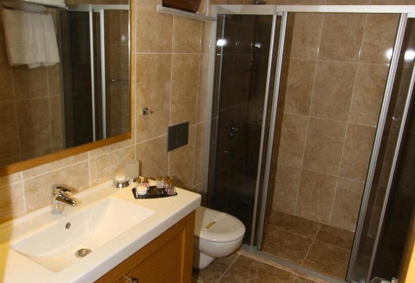 Fotos del hotel Levent Hotel Istanbul:  40