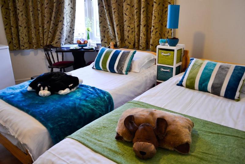 Fotos del hotel The Bridge:  13