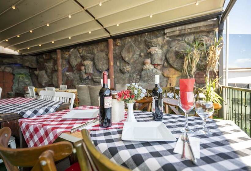 Fotos del hotel Villa Pasha:  3