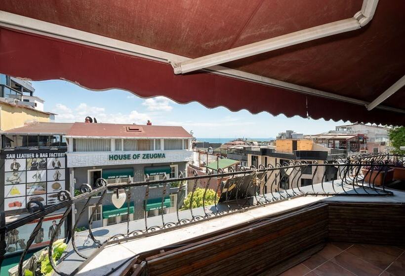 Fotos del hotel Villa Pasha:  21