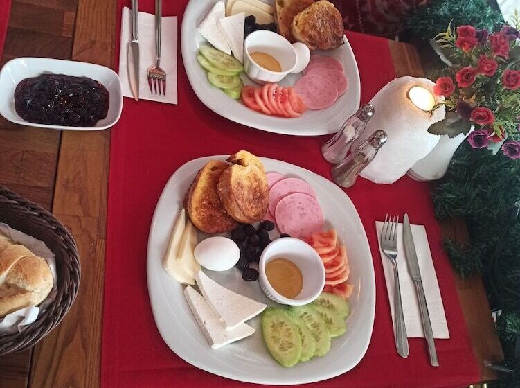 Fotos del hotel Villa Pasha:  20