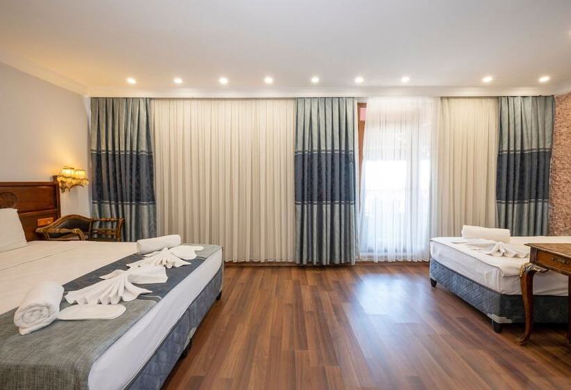 Fotos del hotel Villa Pasha:  7