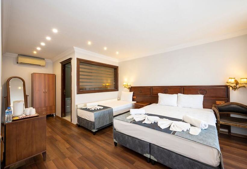 Fotos del hotel Villa Pasha:  13