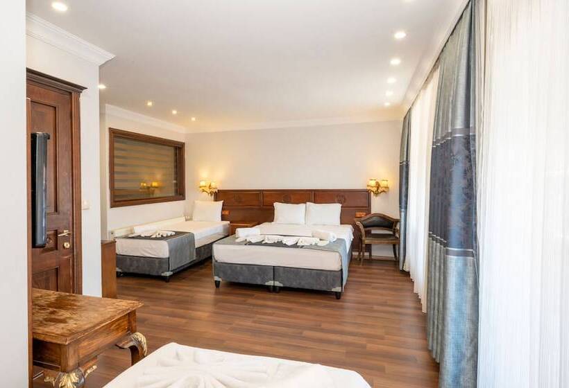 Fotos del hotel Villa Pasha:  9