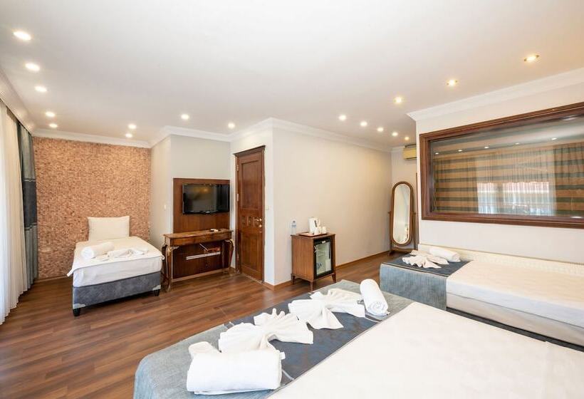 Fotos del hotel Villa Pasha:  2