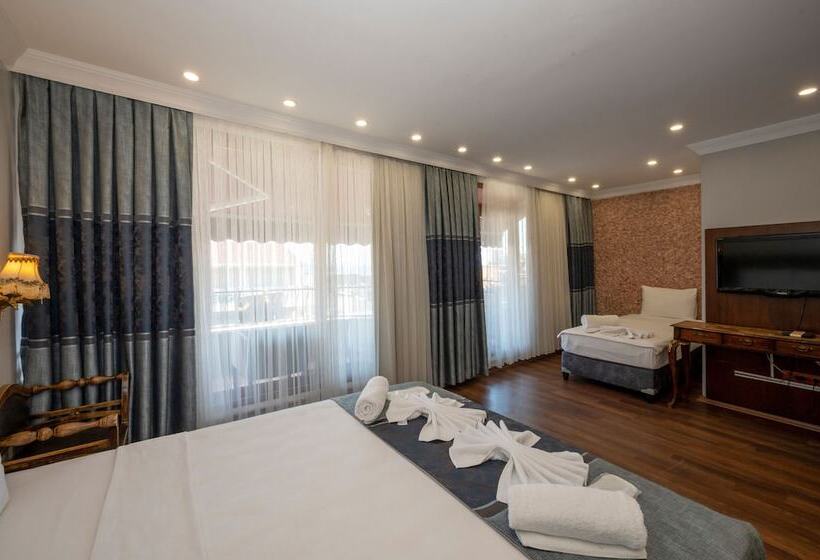 Fotos del hotel Villa Pasha:  8