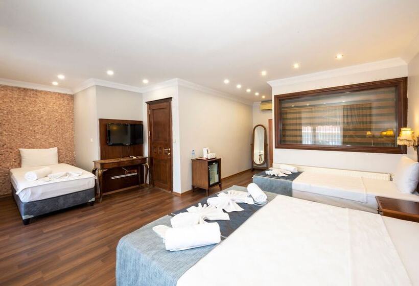 Fotos del hotel Villa Pasha:  14