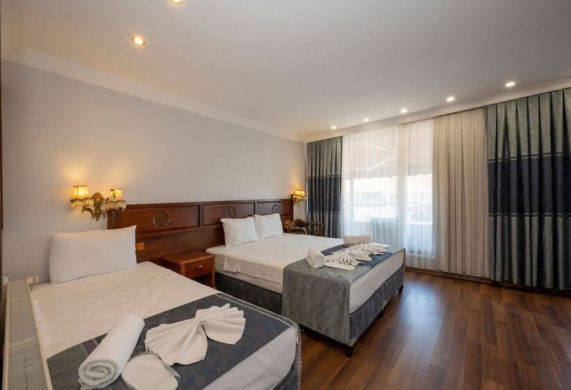 Fotos del hotel Villa Pasha:  16