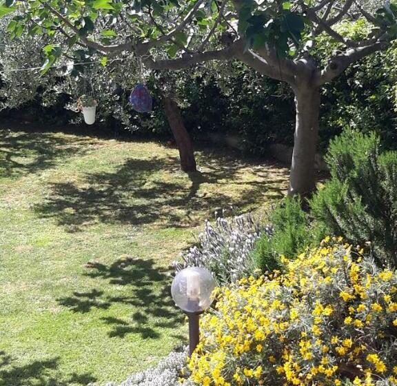 B&b L Albero Di Antonia