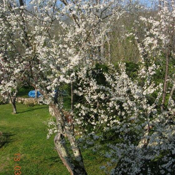 住宿加早餐  Le Colombier