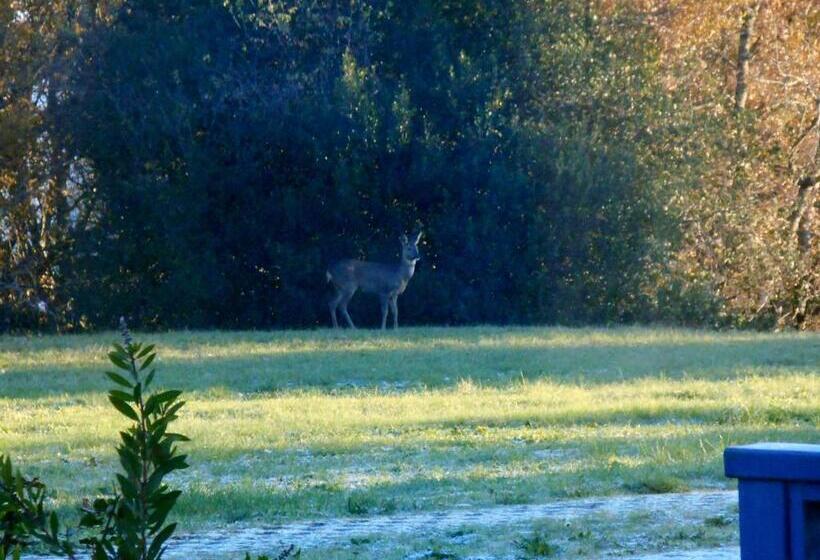 住宿加早餐  Le Colombier