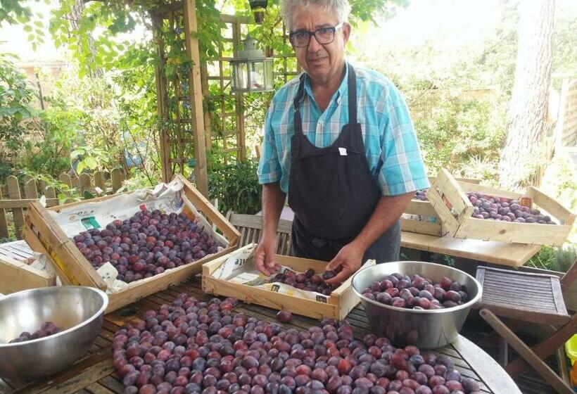 مبيت وإفطار Le Relais De La Praya