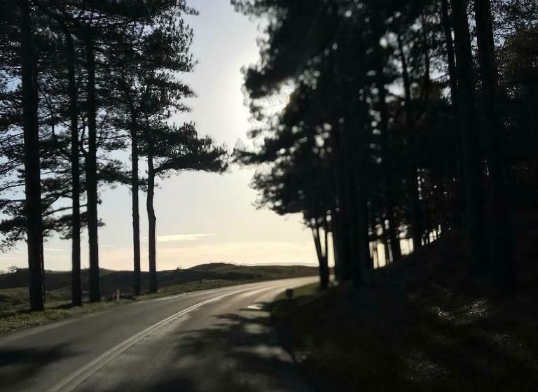 ベッドアンドブレックファースト Loft 55, Penthouse Aan De Schoorlse Duinen