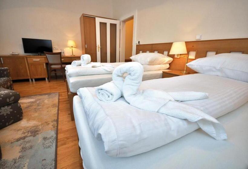 فندق Pod Zeleným Dubem