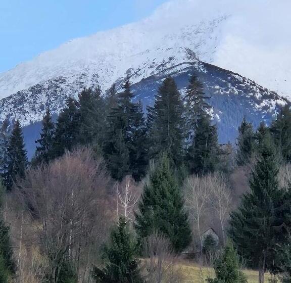 پانسیون Alpina Panoramic