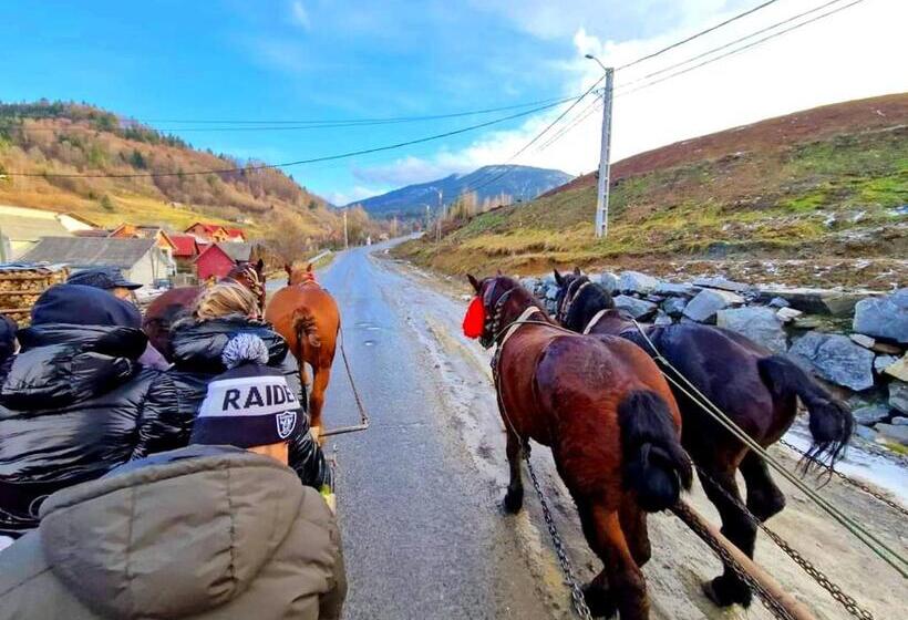 پانسیون Alpina Panoramic