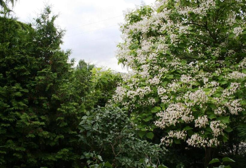 بنسيون Fontana Vendégház