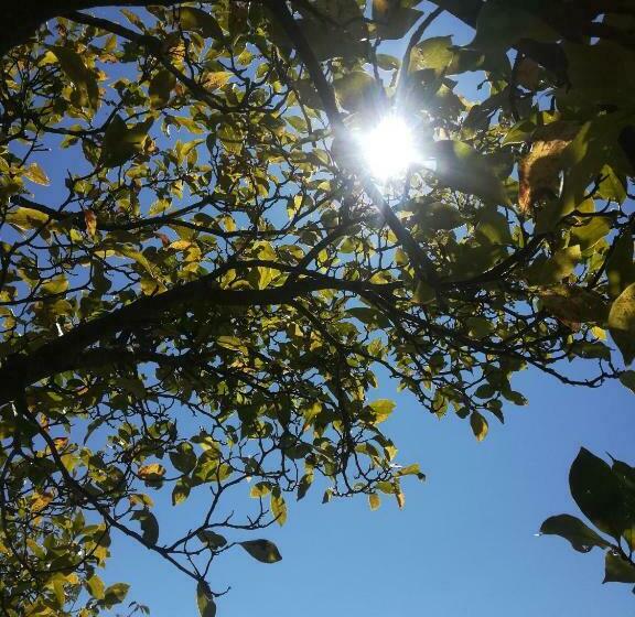 بنسيون La Stella Delle Alpi