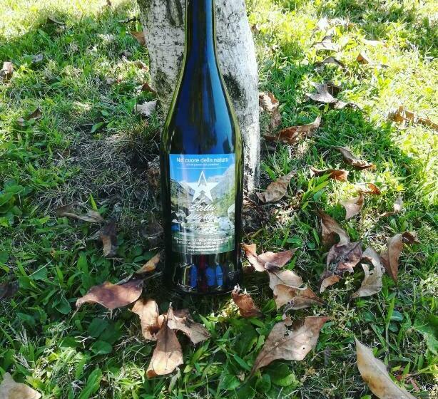 بنسيون La Stella Delle Alpi