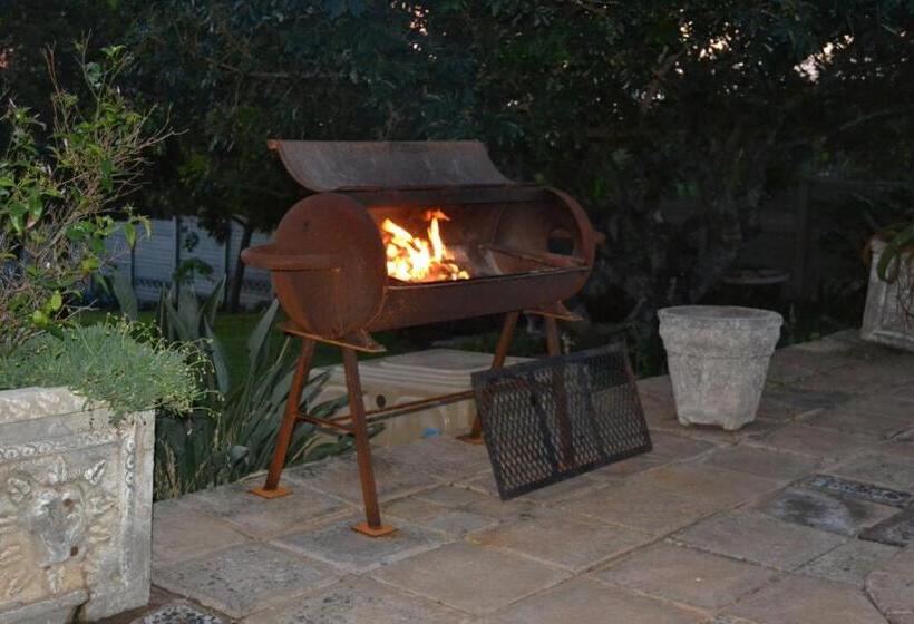 פנסיון The Fever Tree Guest House