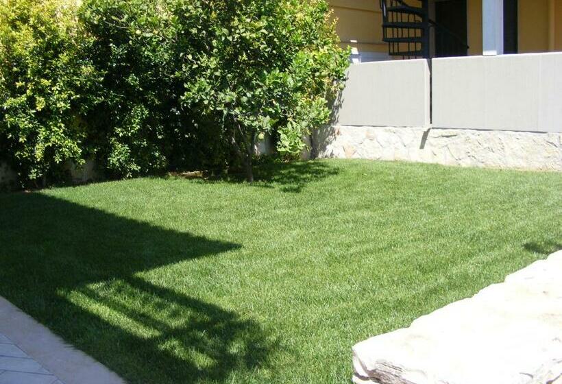 B&b Freezone