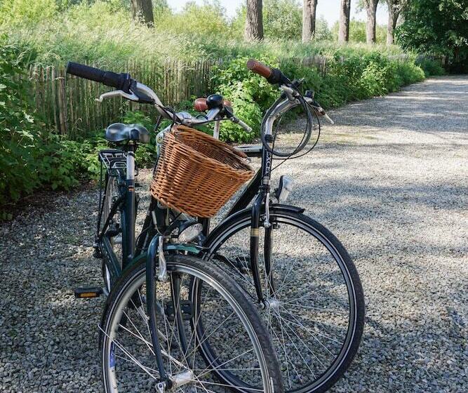 B&b Scheldekant