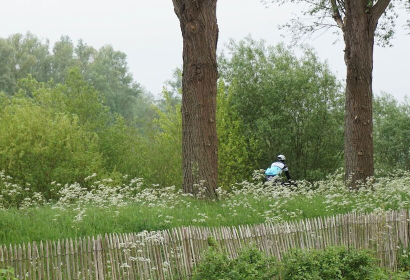 B&b Scheldekant