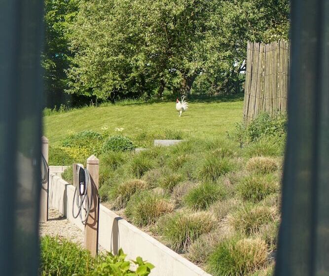 B&b Scheldekant