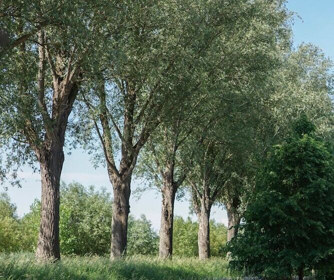B&b Scheldekant