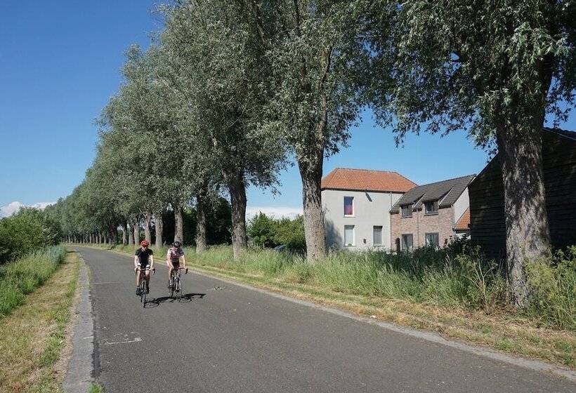 B&b Scheldekant