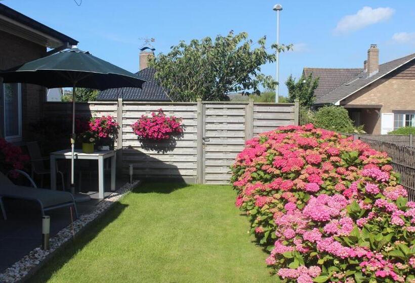 B&b Vanloo