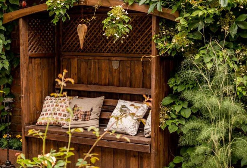 تختخواب و صبحانه Albert House