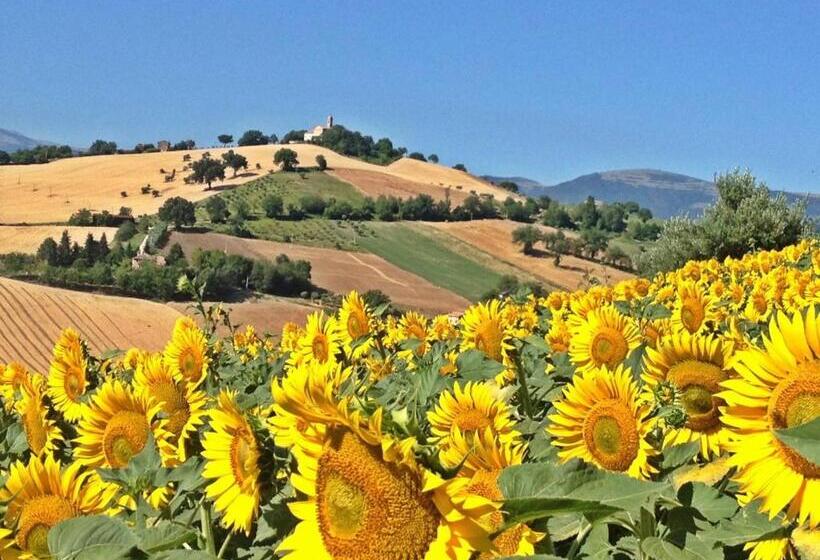 مبيت وإفطار Casale Delle Rondini