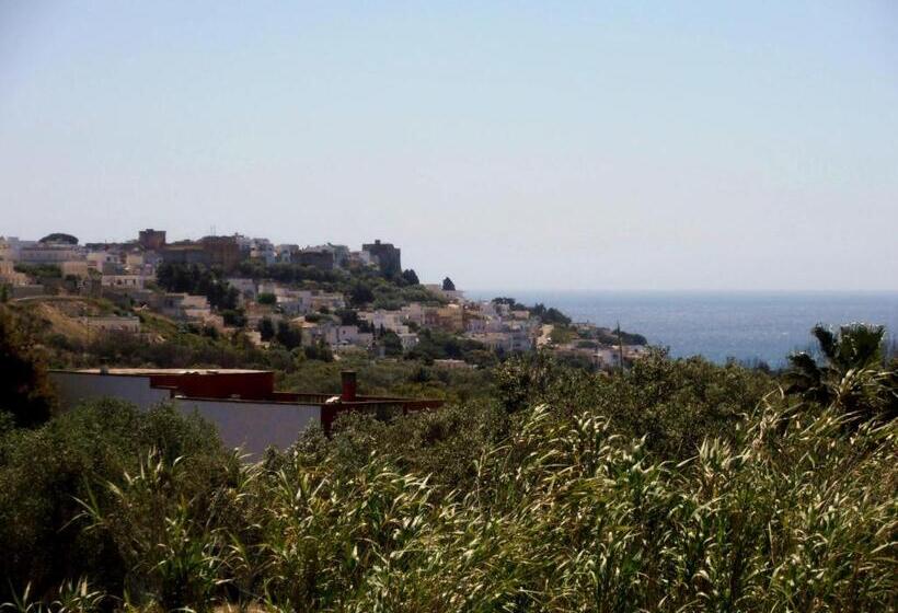 住宿加早餐  Il Corallo Del Salento