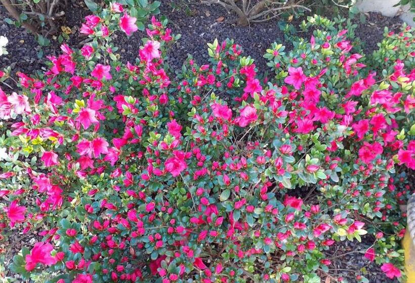 צימר Manoir De L As De Trèfle