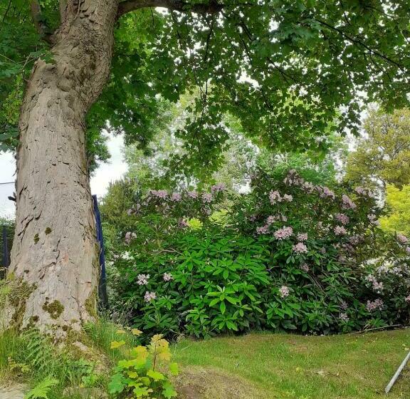 צימר Manoir De L As De Trèfle