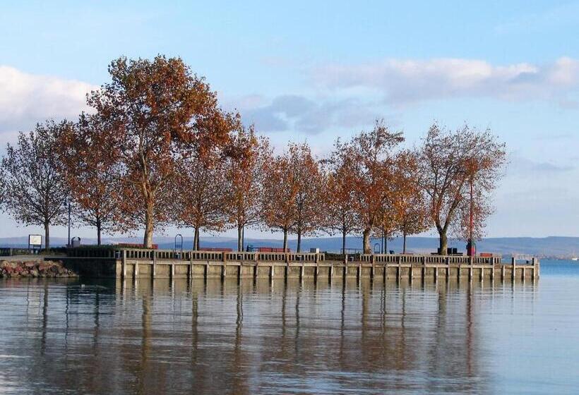 بنسيون Aqua Apartman