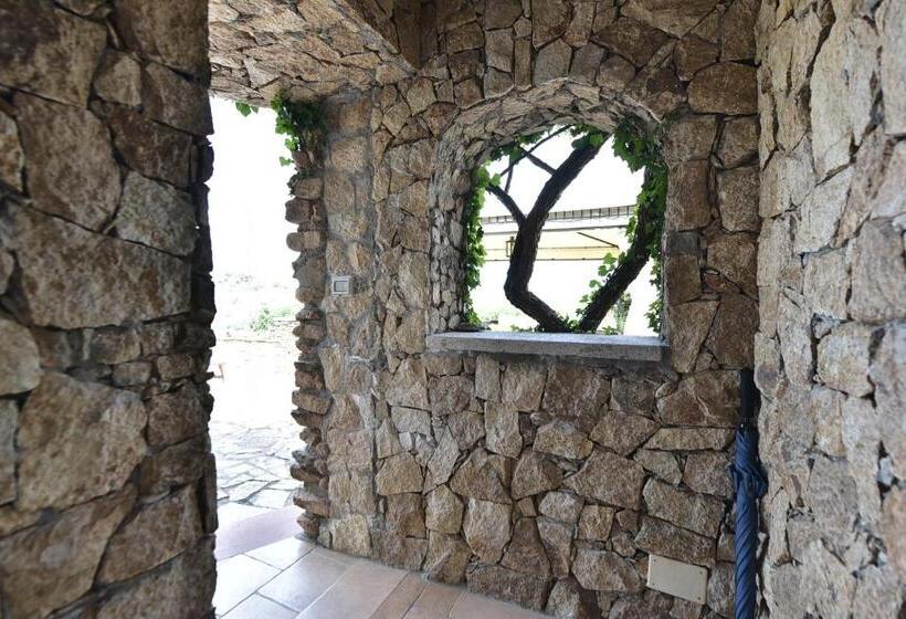 پانسیون Villa Minda Lodge & View