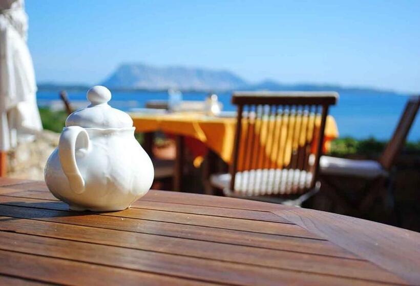 پانسیون Villa Minda Lodge & View