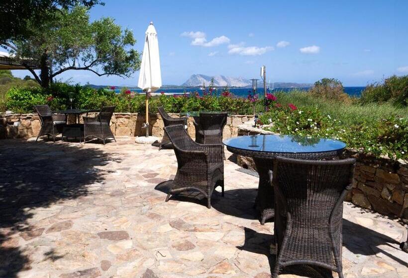 پانسیون Villa Minda Lodge & View