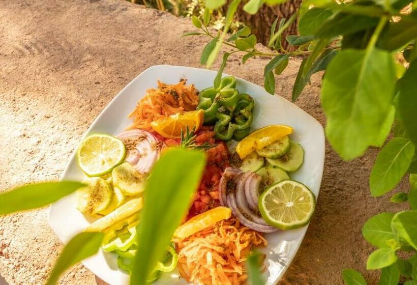 هاستل Riad Kasbah Des Roches