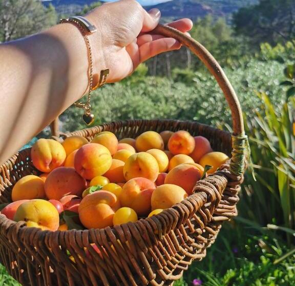 צימר Bastide Saint Bernard