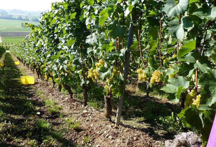 مبيت وإفطار Bnb Tuileries