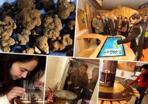 ベッドアンドブレックファースト La Maison Du Bonheur