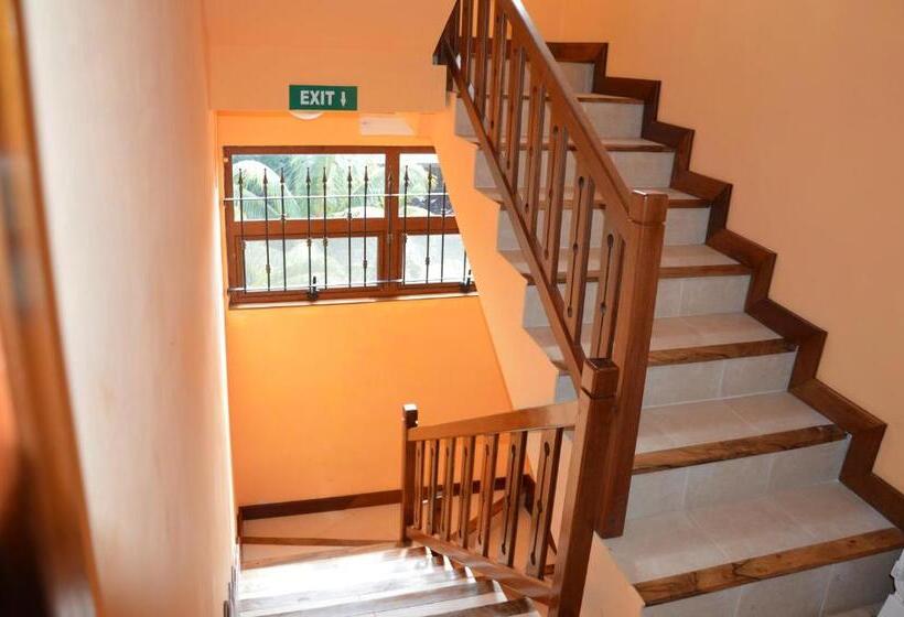 تختخواب و صبحانه La Maison Soleil