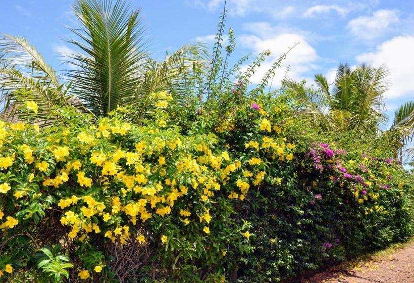 تختخواب و صبحانه La Maison Soleil